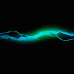 Fortifying Privacy in the AI Era with FHE